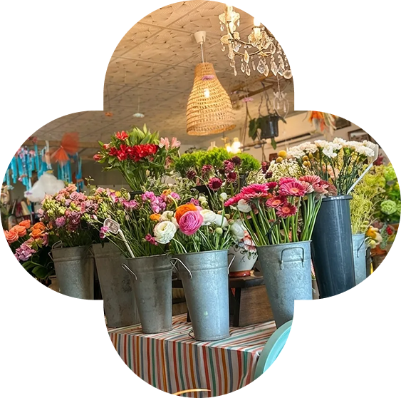 Bouquets de fleurs coupées