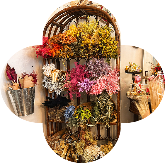 Fleurs séchées en boutique