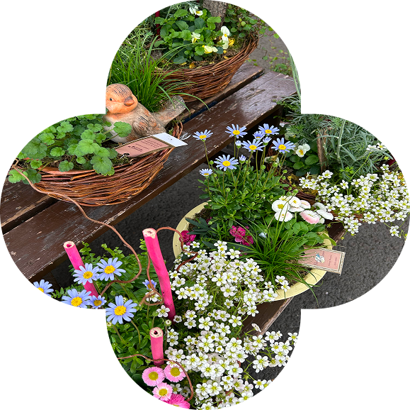 Création florale pour une occasion